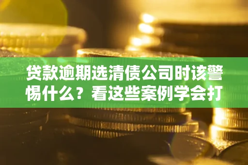 武汉贷款逾期选清债公司时该警惕什么？看这些案例学会打翻身仗