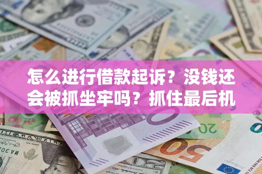 武汉怎么进行借款起诉？没钱还会被抓坐牢吗？抓住最后机会！