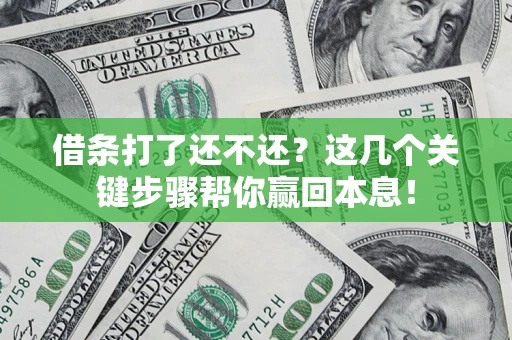 武汉借条打了还不还？这几个关键步骤帮你赢回本息！