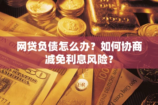 武汉网贷负债怎么办？如何协商减免利息风险？