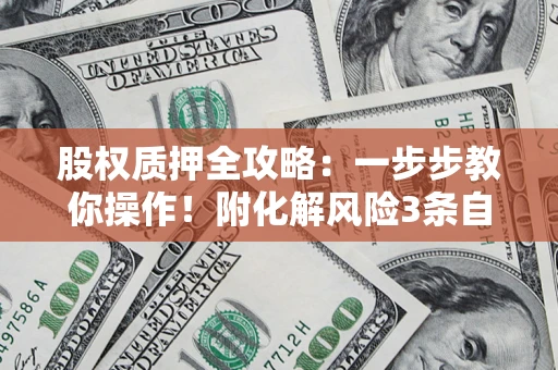 武汉股权质押全攻略：一步步教你操作！附化解风险3条自救法则