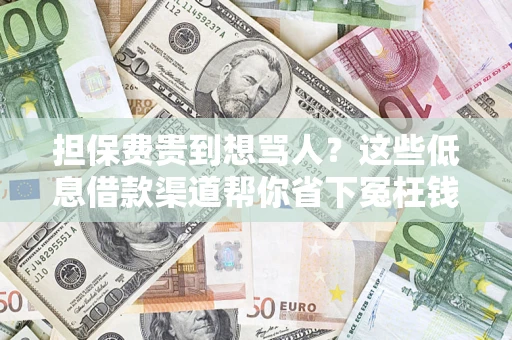 武汉担保费贵到想骂人？这些低息借款渠道帮你省下冤枉钱
