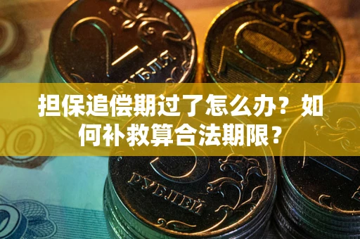 武汉担保追偿期过了怎么办？如何补救算合法期限？