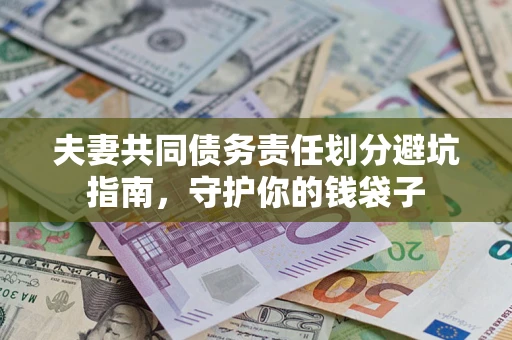 武汉夫妻共同债务责任划分避坑指南，守护你的钱袋子