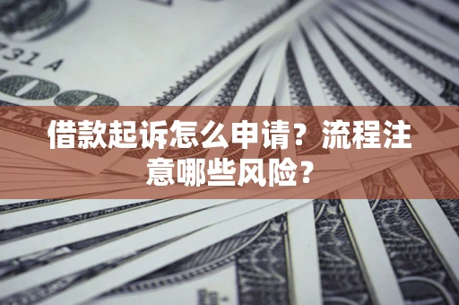 武汉借款起诉怎么申请？流程注意哪些风险？