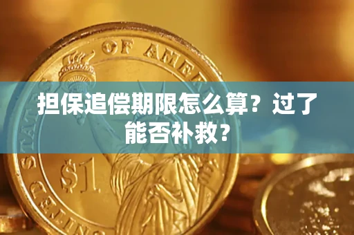 武汉担保追偿期限怎么算？过了能否补救？